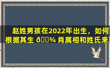 赵姓男孩在2022年出生，如何根据其生 🌾 肖属相和姓氏来取名 🐴